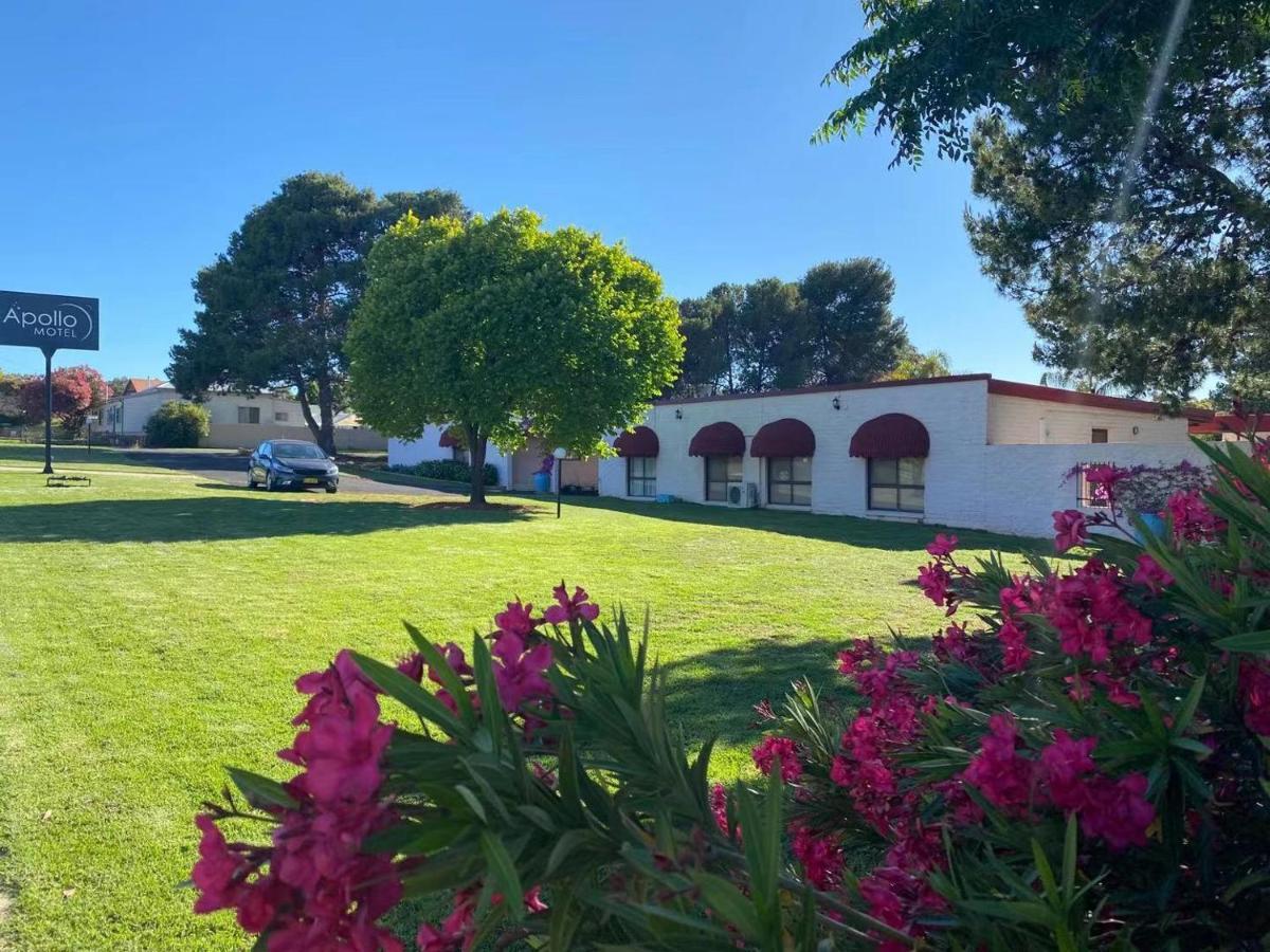 Apollo Motel Parkes Exterior foto
